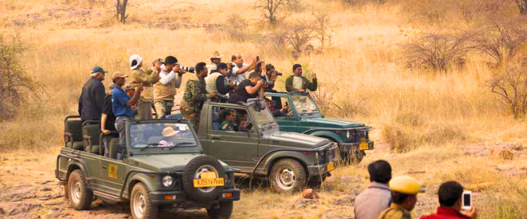 ranthambore jeep safari booking